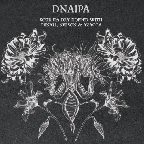 Speciation Artisan Ales DNAIPA