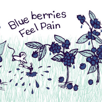 Off Color Brewing Blueberries Feel Pain