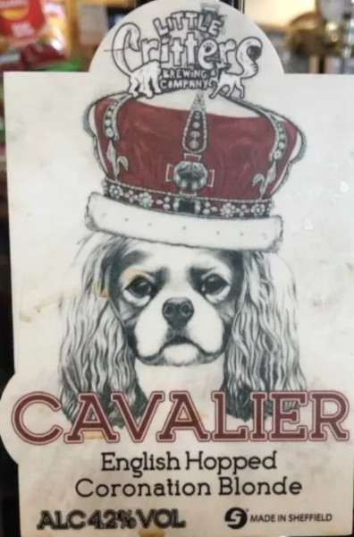 Little Critters Brewing Co. Cavalier