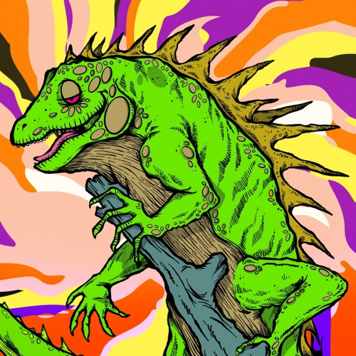 Tripping Animals Brewing Co. I Wanna Sour