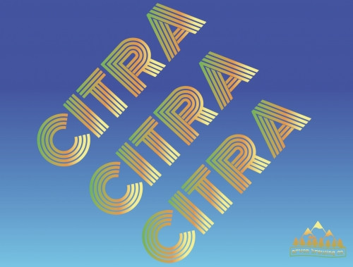 Arvon Brewing Co. Citra Citra Citra