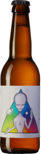 Noisy Bastards Brewing Company Space, the Final Frontbeer
