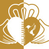Phase Three Brewing Company The Claddagh