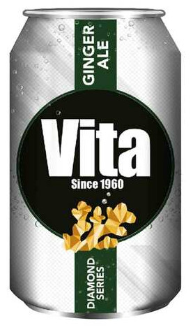 General Investment Company Vita
