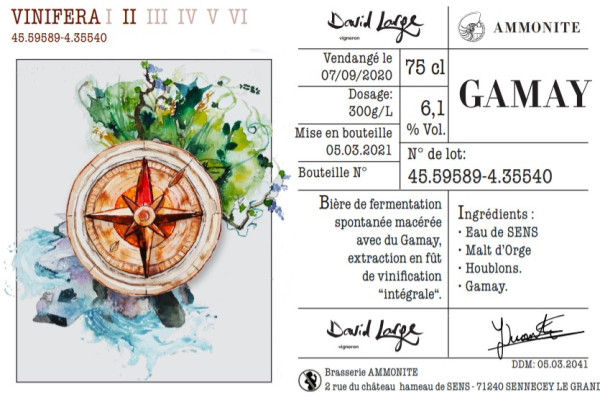 Ammonite Vinifera II - Gamay