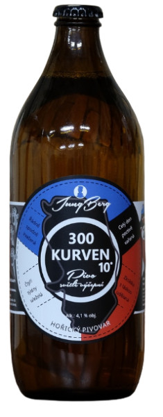 JungBerg 300 KURVEN 10°