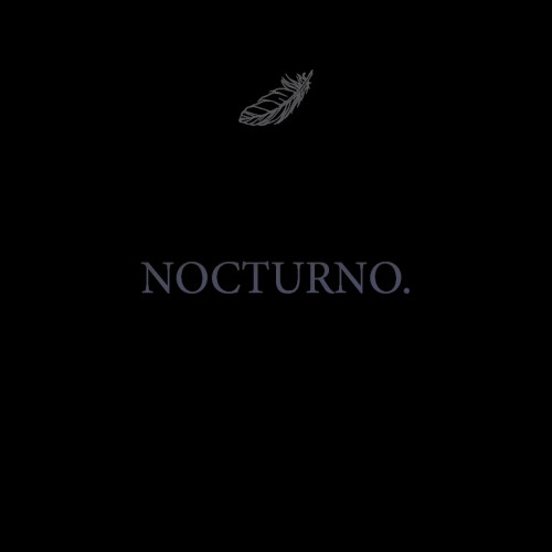 Brouwerij Bravoure. Nocturno.