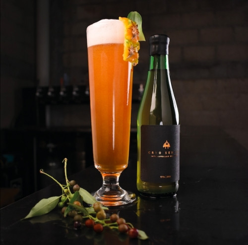 Interstellar Brewery Bivalent Spectrum
