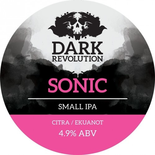 Dark Revolution Sonic