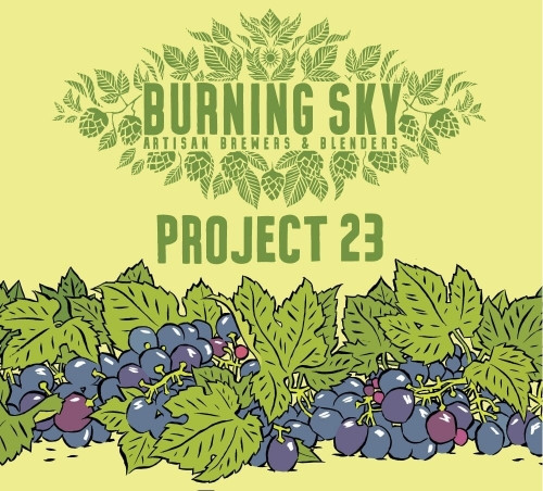 Burning Sky Brewery Project 23