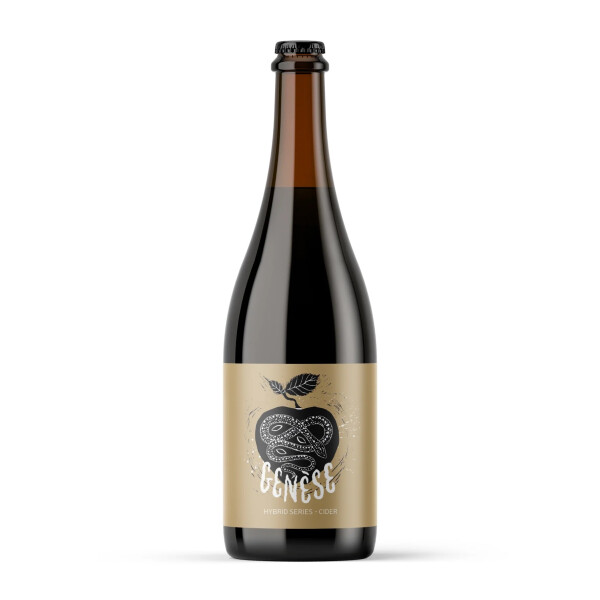 La Source Beer Co. Genèse