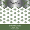 Phase Three Brewing Company DDH Perpetual Sounds