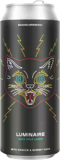 Banded Brewing Company Luminaire