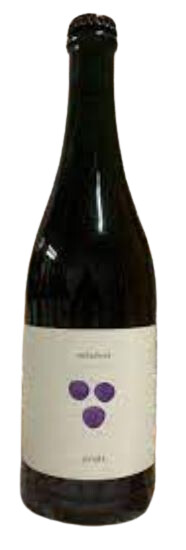 Métaphore Artisanal Beers Pinots