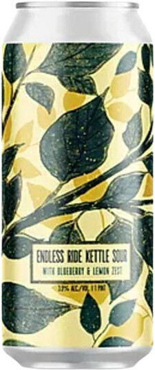 Battery Steele Brewing Company Endless Ride: Blueberry & Lemon Zest