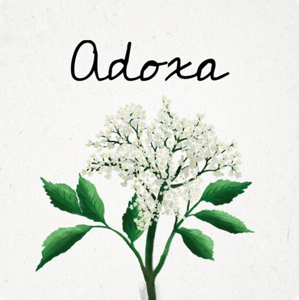 HenkeBier Adoxa