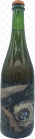 Artistraw Cider Jury 2022