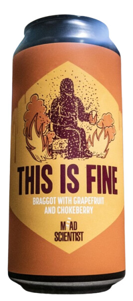 Mead Scientist This is Fine