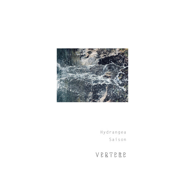 Vertere Hydrangea