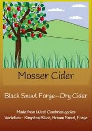 Mosser Cider Black Snout Forge - Dry Cider