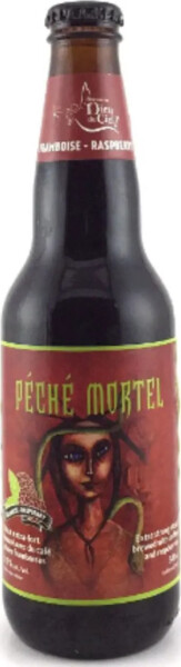 Brasserie Dieu du Ciel! Péché Mortel - Framboise