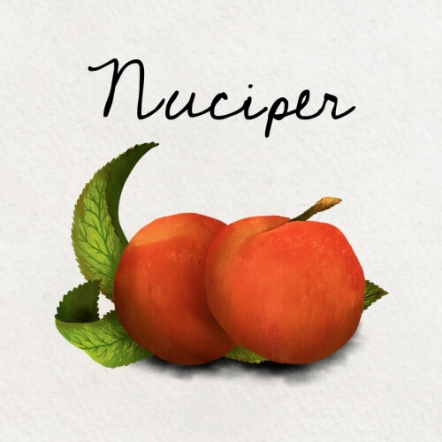HenkeBier Nuciper