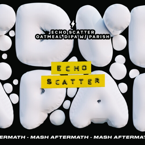 Garage Beer Co Echo Scatter