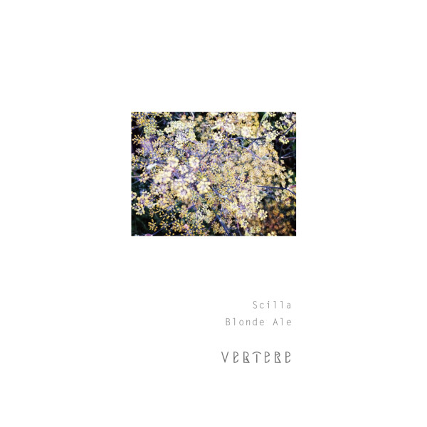Vertere Scilla