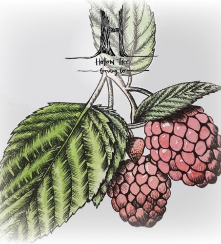 Hollow Tree Brewing Wild Series 2.1 Raspberry