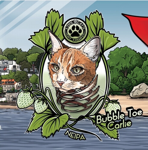 Cool Cats In Town Bubble Toes Carlie NEIPA