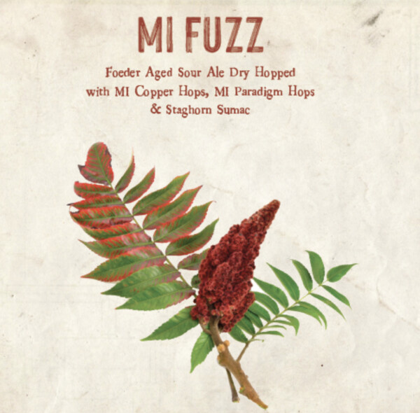 Speciation Artisan Ales MI Fuzz