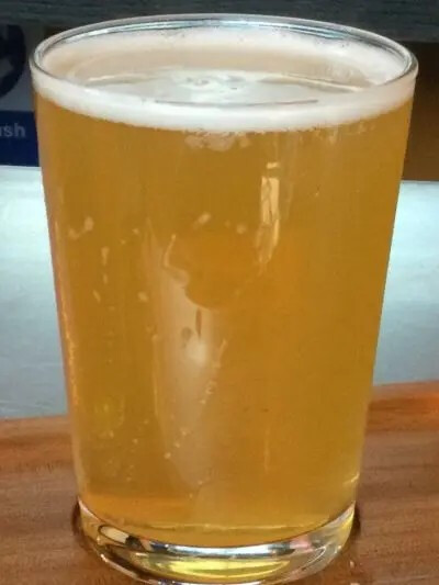 Mad Dog Brewing Co. Honestly Mad