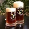 Brauhaus Südstern Dunkler Stern