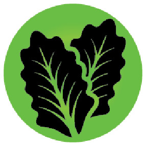 Ferndale Project Salad Days