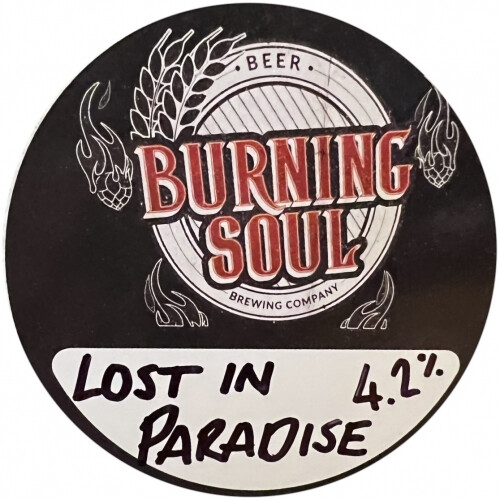Burning Soul Brewing Company Lost in Paradise