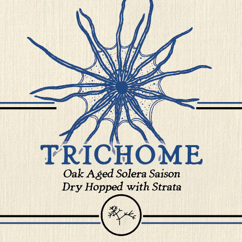 Speciation Artisan Ales Trichome