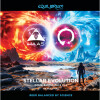 Equilibrium Brewery Stellar Evolution