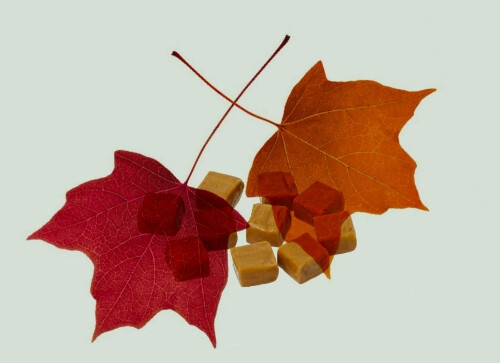 Zagovor Brewery Algorithm: Maple + Caramel (2022)