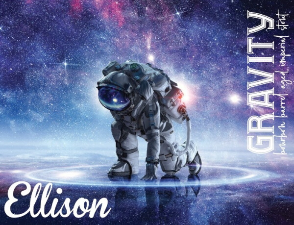 Ellison Brewery + Spirits Gravity