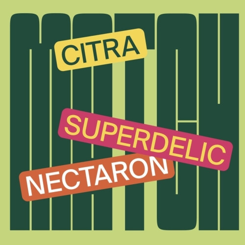 Zagovor Brewery Match: Superdelic, Nectaron, Citra