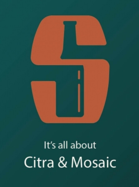 Salikatt Bryggeri It's All About Citra & Mosaic