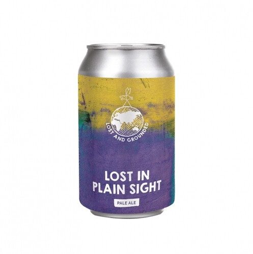 Lost and Grounded Lost in Plain Sight