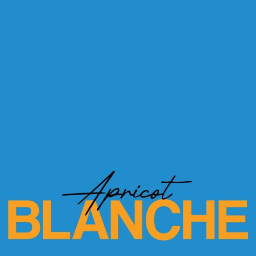 Kolomenskaya Pivovarnya (Коломенская Пивоварня) Pivot Point Apricot Blanche