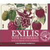 OEC Brewing (Ordinem Ecentrici Coctores) Exilis: Raspberries