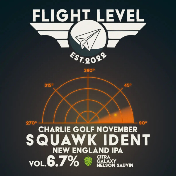 Flight Level Brewing Squawk Ident #2 Charlie Golf November