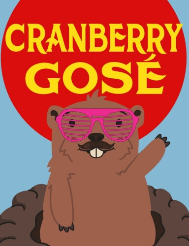 Sawtooth Brewery Cranberry Gose