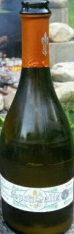 OEC Brewing (Ordinem Ecentrici Coctores) Spontalis Novus