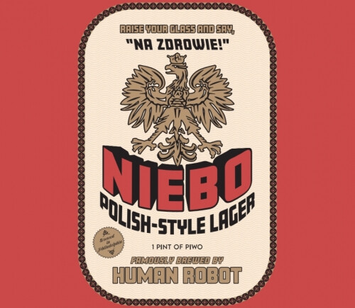 Human Robot Niebo