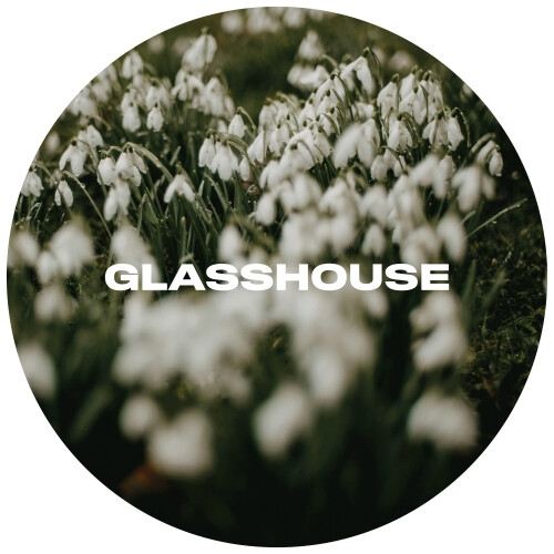 Glasshouse Beer Co Nix