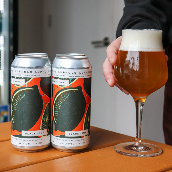 Luppolo Brewing Company Gose with Black Lime